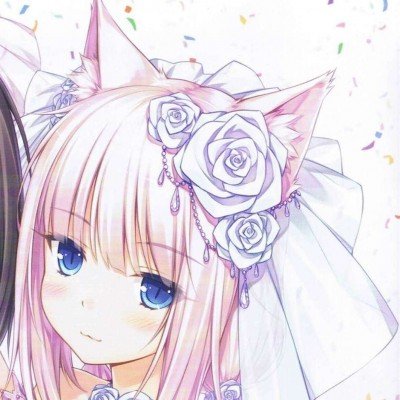 张杰11天连开9场演唱会